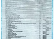 Лицении